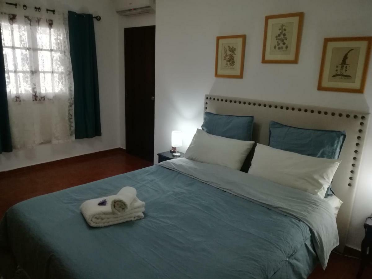 A Casa Da Avo Custodinha Villa Bias do Norte Eksteriør bilde